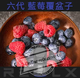 原裝正品RELX悅刻六代煙彈/菸彈（藍莓覆盆子）3入
