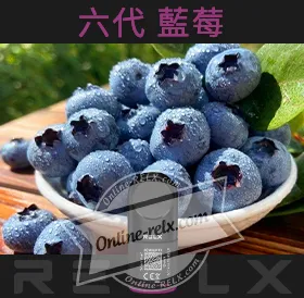 原裝正品RELX悅刻六代煙彈/菸彈(藍莓)3入